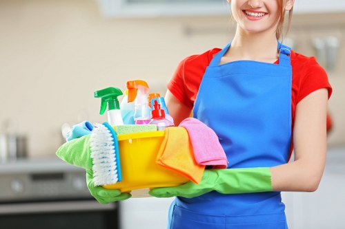 Domestic cleaning tasks for kitchens and bathrooms in Hounslow properties