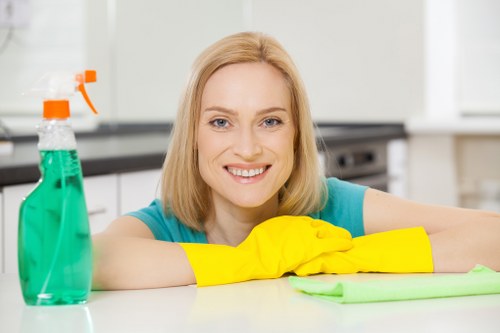 Cookie settings and user control on the Hounslow Cleaners website