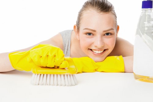 Local gutter cleaning service helping protect homes and businesses in Hounslow