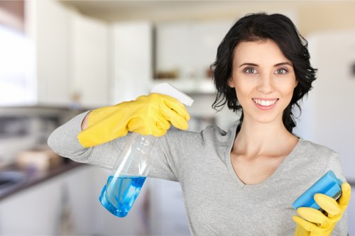 Freshening carpets and soft furnishings after pet accidents in Hounslow