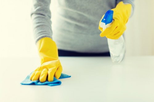 Kitchen and bathroom maintenance as part of local regular cleaning