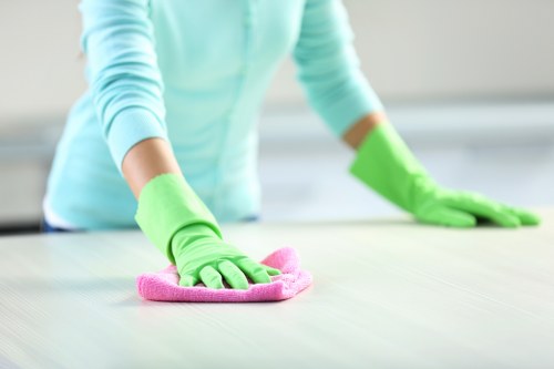 Risk assessment being completed before a cleaning job