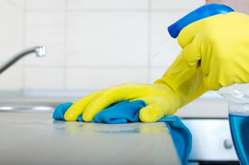 Professional hot water extraction cleaning for carpeted rooms