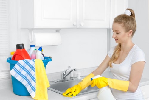 Deep cleaning shelves and oven interior for a local Hounslow property